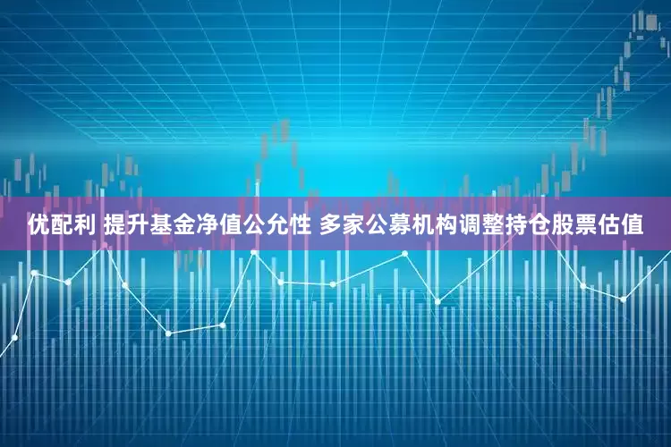 优配利 提升基金净值公允性 多家公募机构调整持仓股票估值