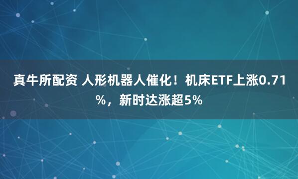 真牛所配资 人形机器人催化！机床ETF上涨0.71%，新时达涨超5%