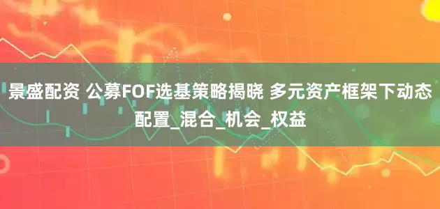 景盛配资 公募FOF选基策略揭晓 多元资产框架下动态配置_混合_机会_权益