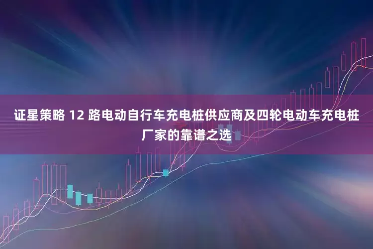 证星策略 12 路电动自行车充电桩供应商及四轮电动车充电桩厂家的靠谱之选